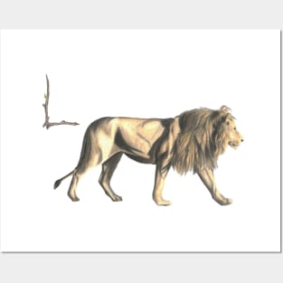 L for lion alphabet illustration Posters and Art